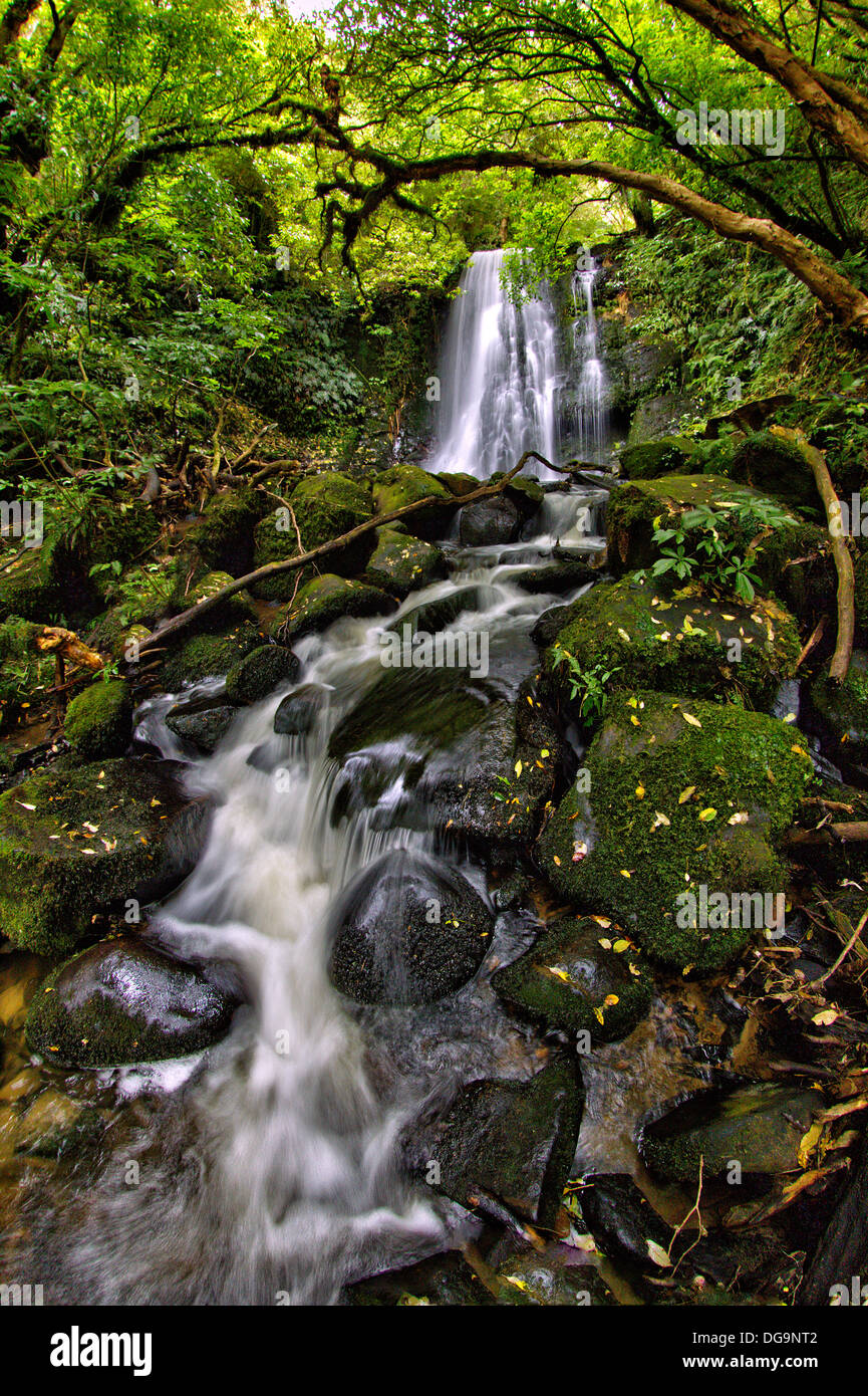Matai Falls, Catlins, New Zealand Stock Photo