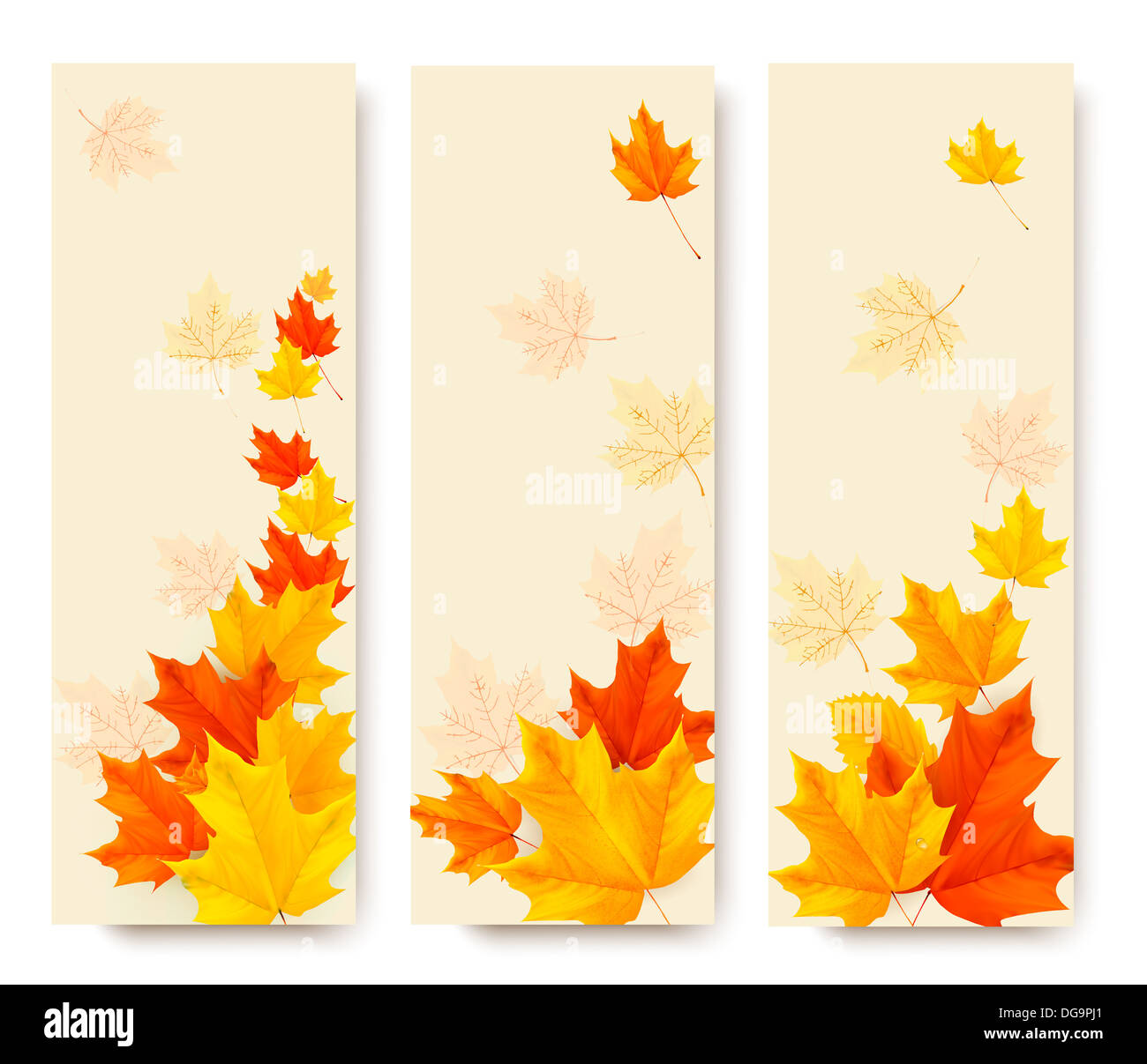 Curated visual reference: Three Autumn Banners With Colorful Leaves Vector Illustration Stock Photo Inspiration