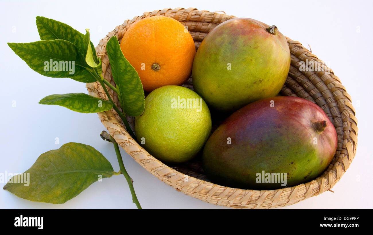 Basket of mangoes, oranges and lemons Stock Photo Alamy