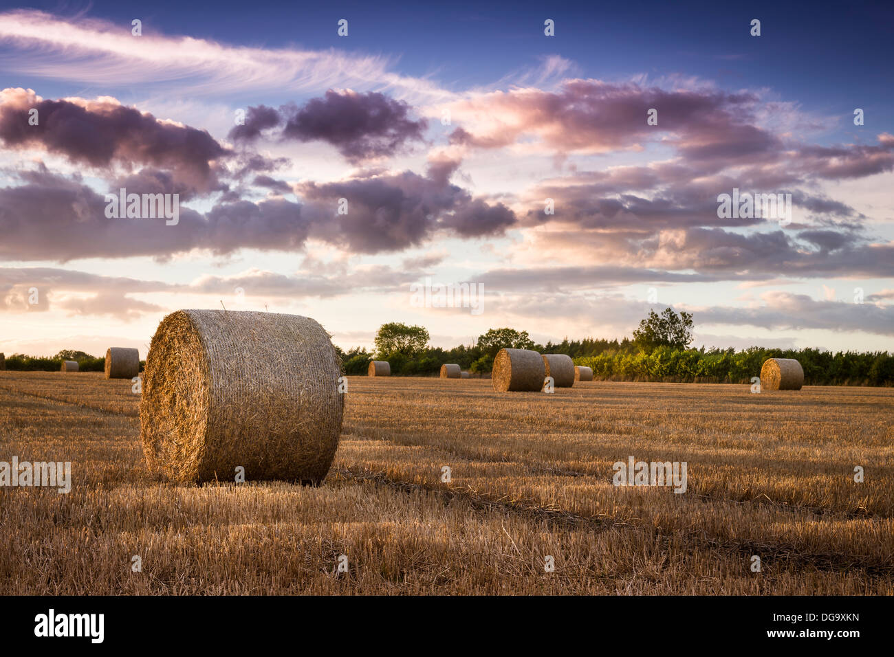 An August sun sets over a field of straw bales in rural Wiltshire Stock ...