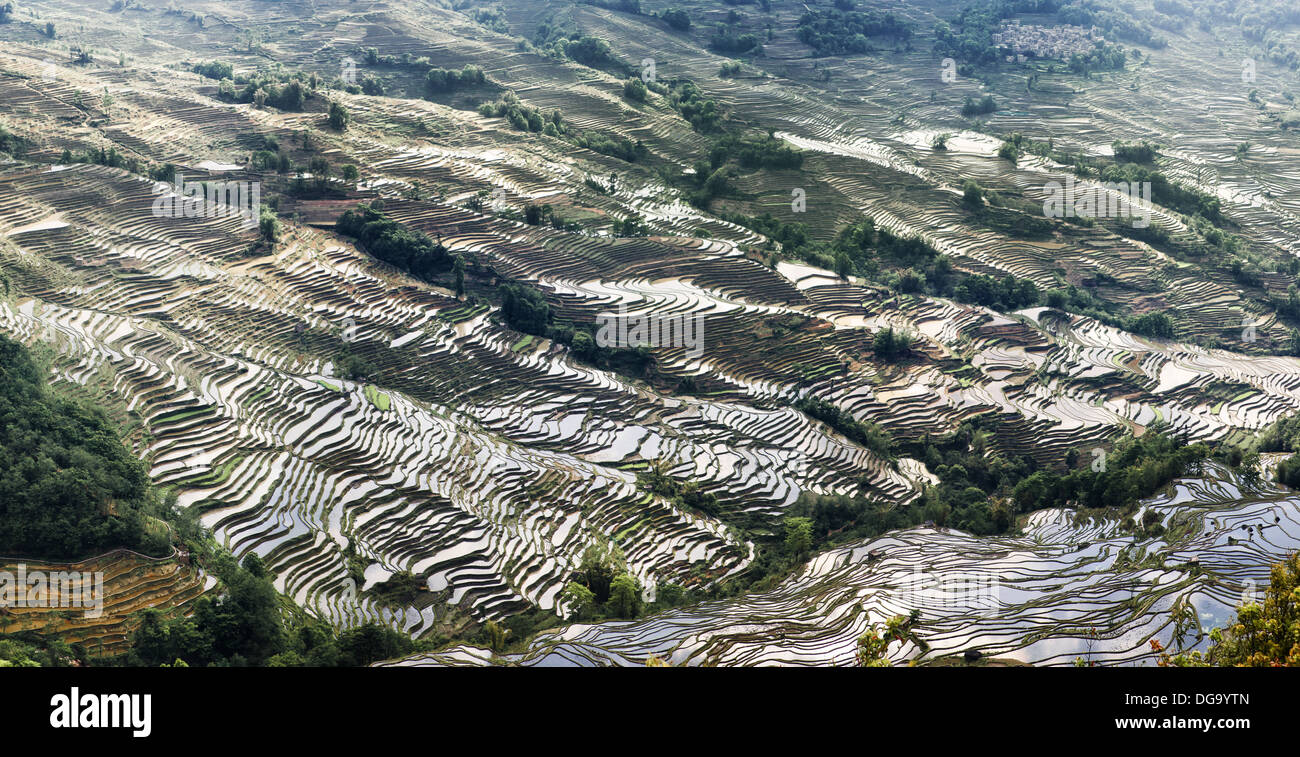 Yuanyang Rice Terraces in Yunnan, China Stock Photo