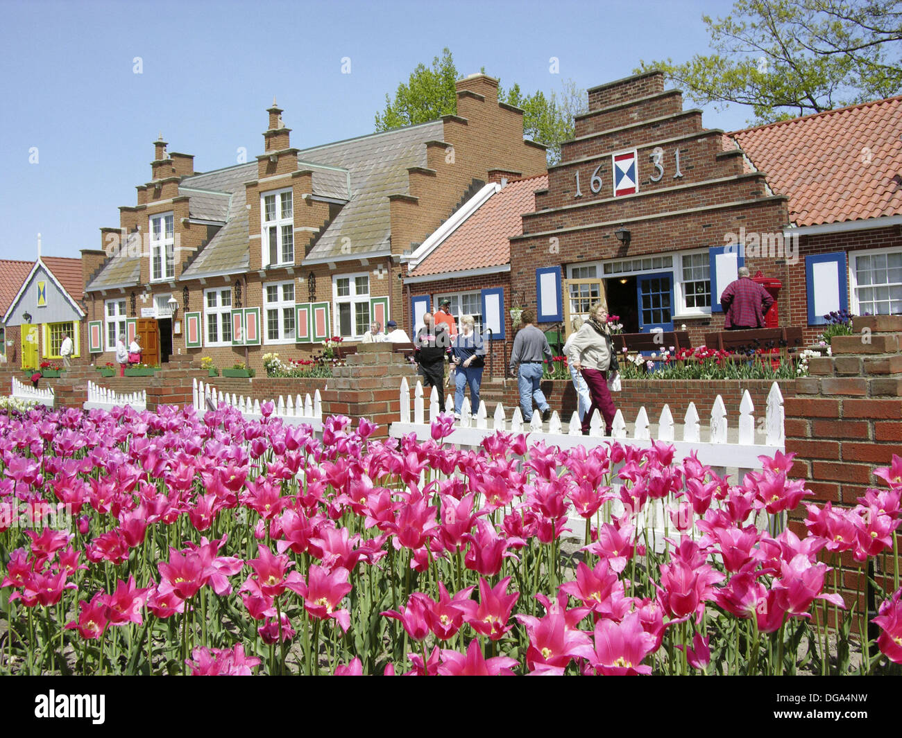 Holland, Michigan. USA. Tulip Festival. Tulip Flowers and shops on