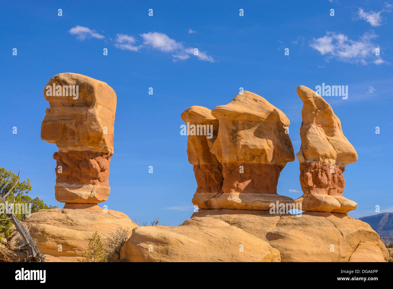 Hoodoos, Devils Garden, Grand Staircase Escalante National Monument, Utah, USA Stock Photo