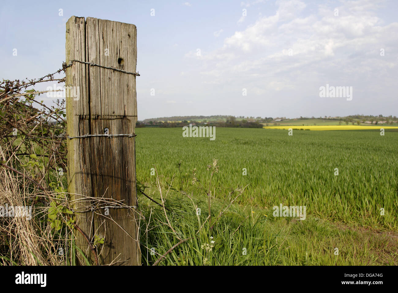 Old wooden fence post in field close up England UK Stock Photo