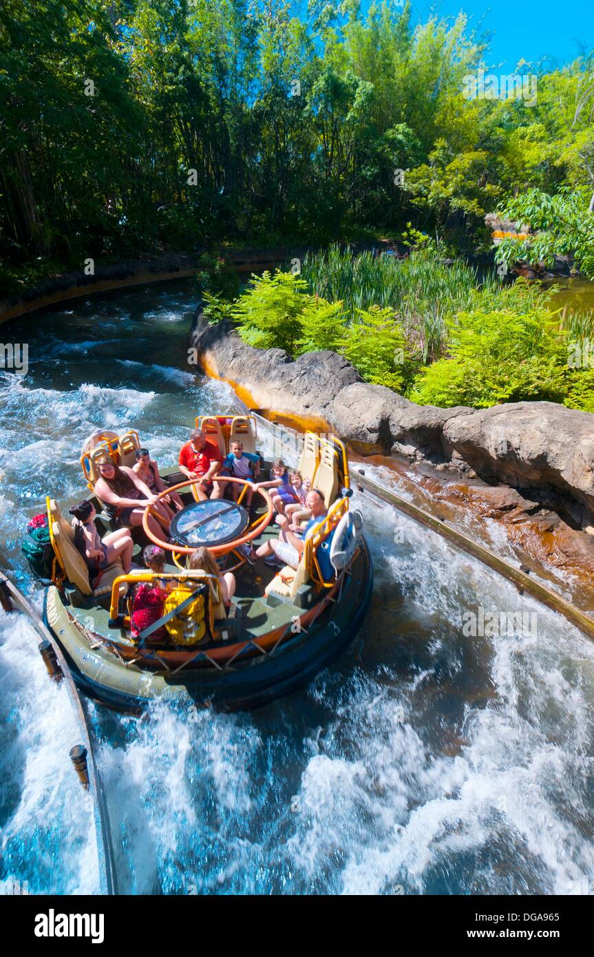 Kali River Rapids, Disney´s Animal Kingdom, Walt Disney World Stock