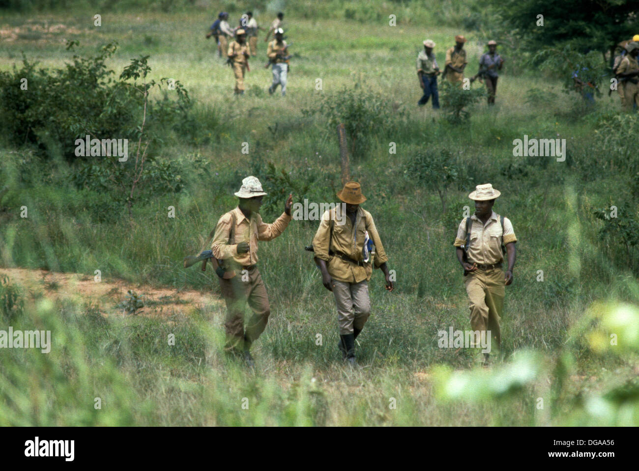 Zimbabwe. ZANU Patriotic Front troops loyal to Robert Mugabe come in from the bush as part of the peace process Stock Photo