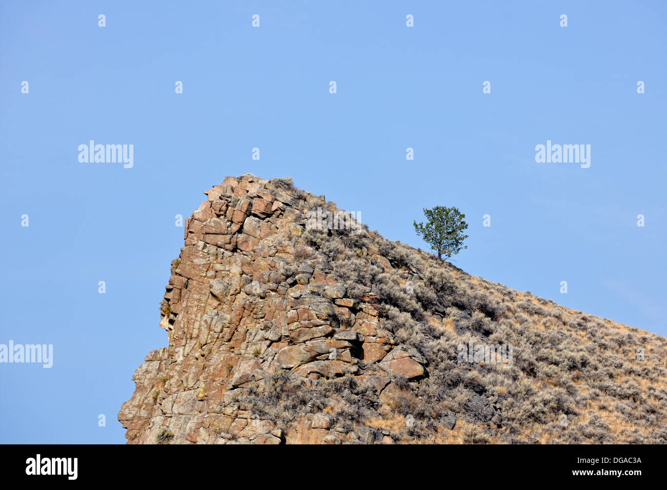 Rock outcrop with solitary pine tree Bozeman Montana USA Stock Photo