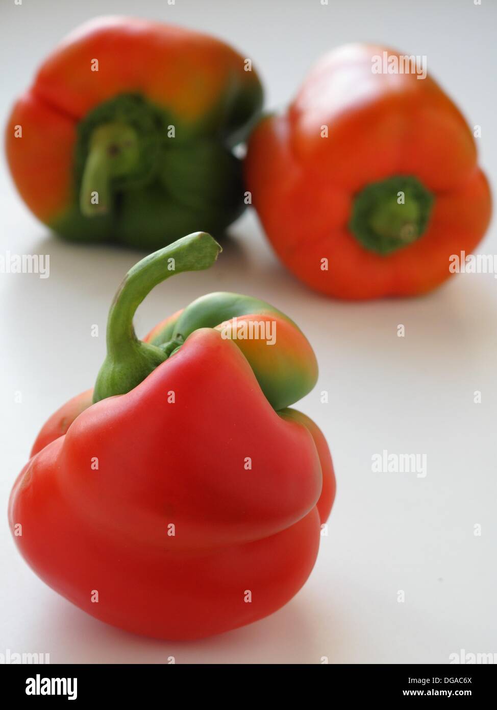 Pepper, Capsicum annuum Stock Photo Alamy