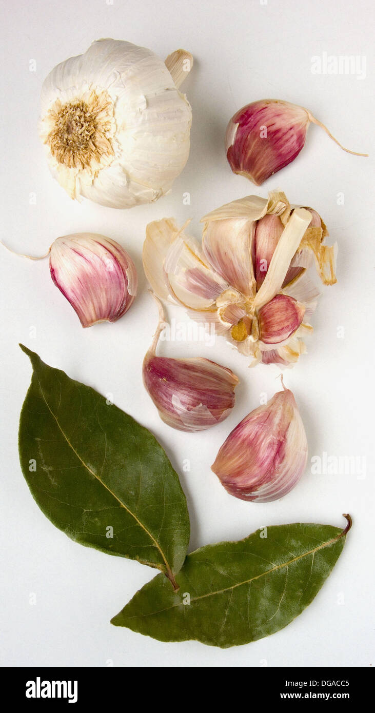 Laurel and garlic Stock Photo