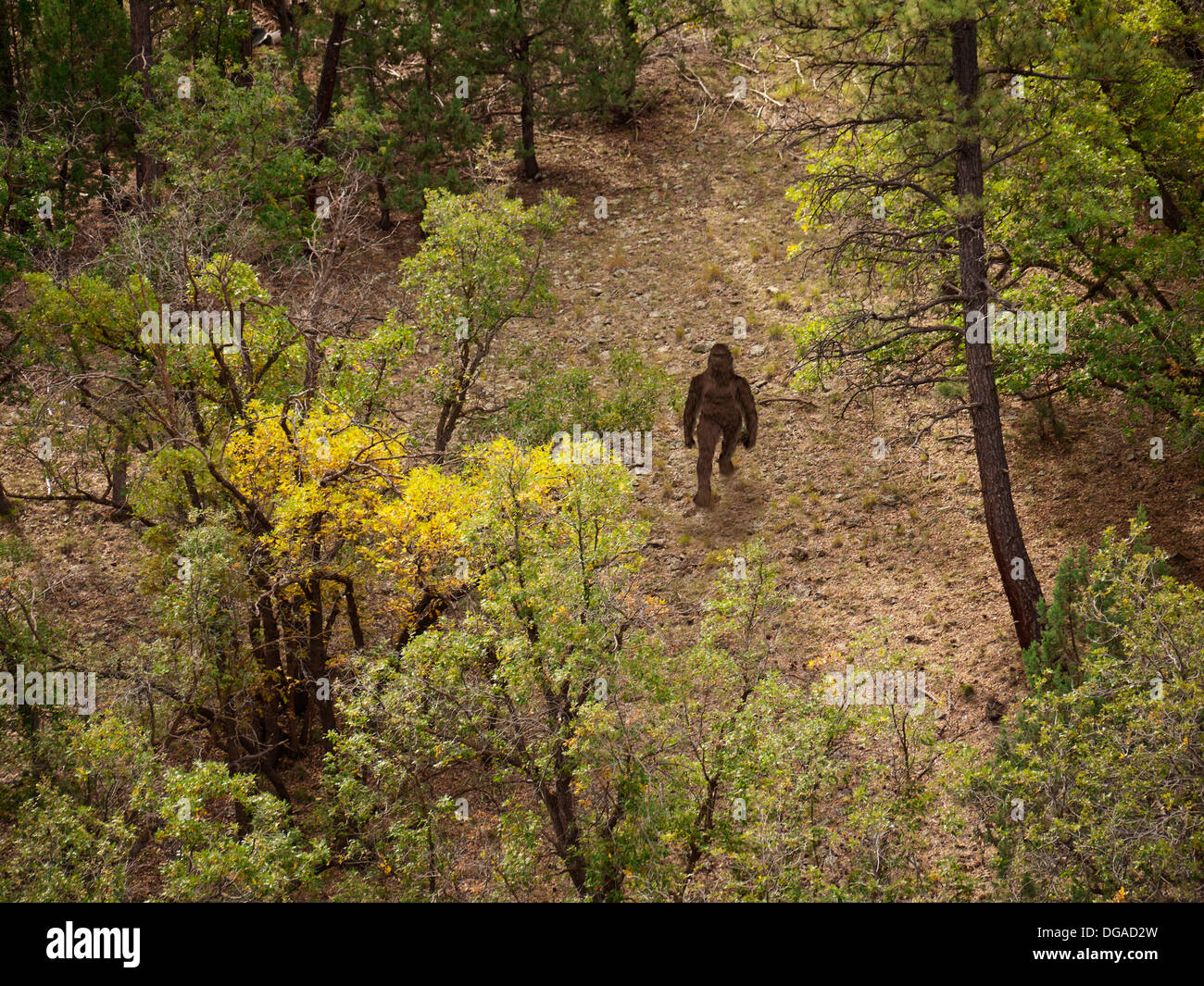 Bigfoot Sighting Stock Photo