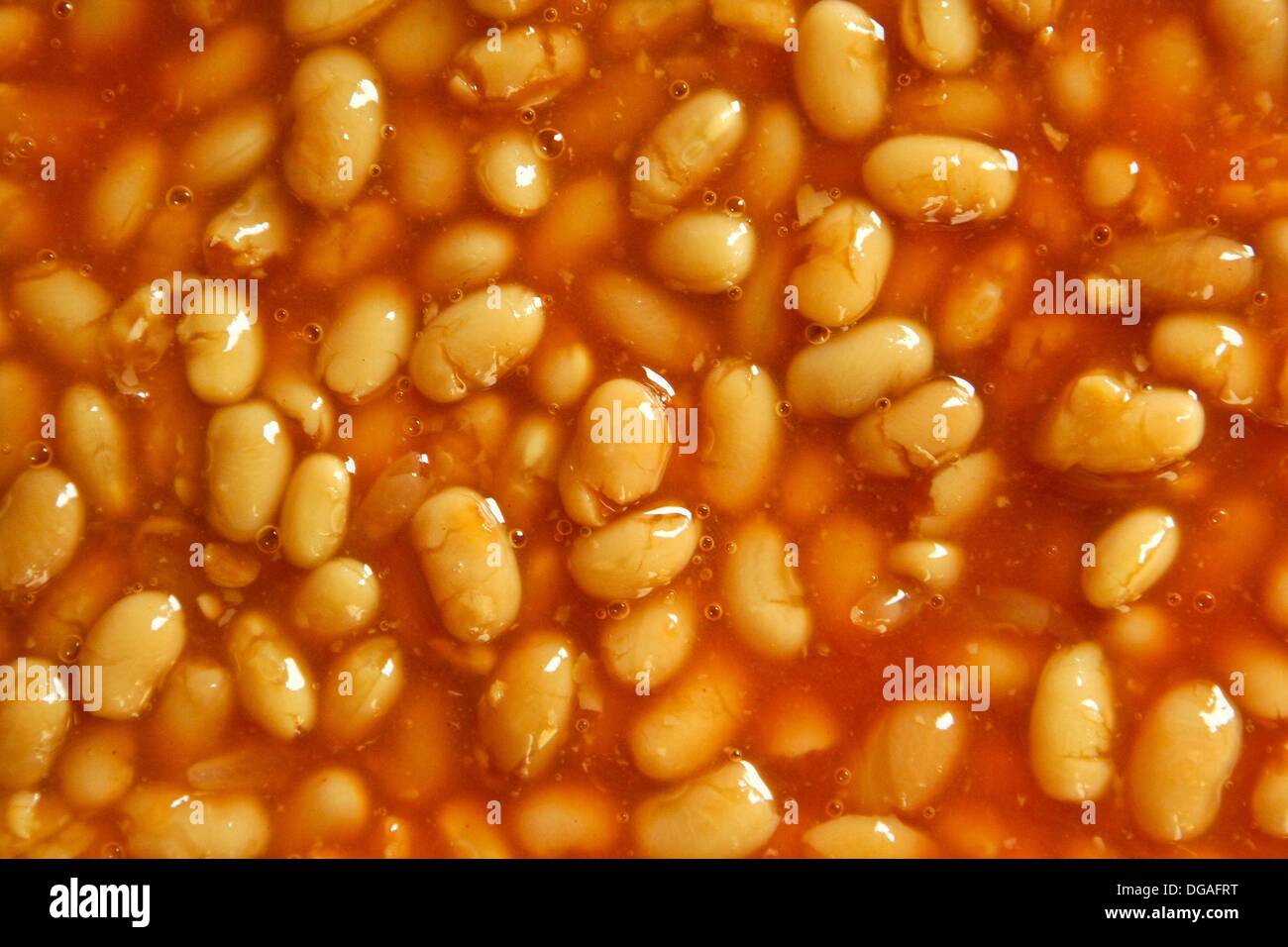 Overview image from studio photo hires stock photography and images