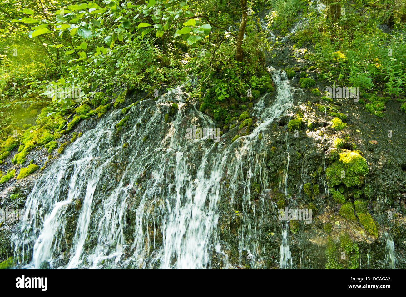 Wellspring with small cascades at Tara mountain and national park Stock Photo