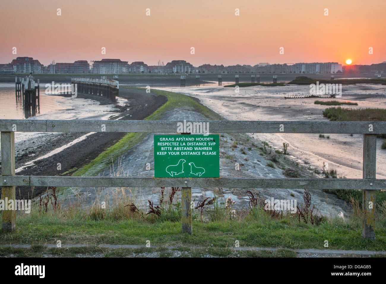 Salt marsh and mudflats at the nature reserve De IJzermonding at Nieuwpoort / Nieuport along the North Sea coast, Belgium Stock Photo