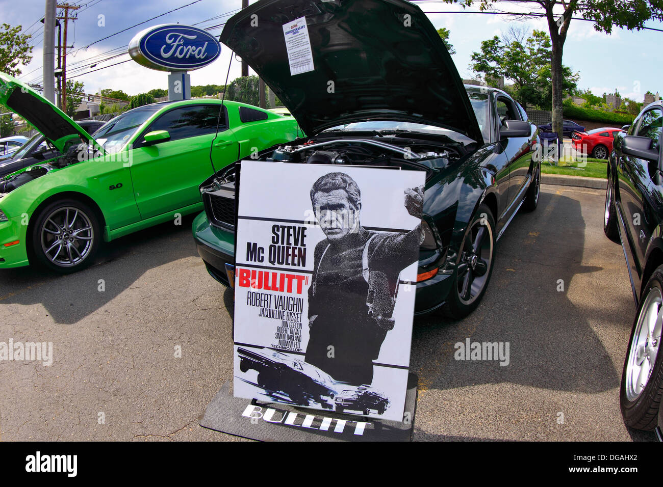 Ford classic car show Long Island New York Stock Photo