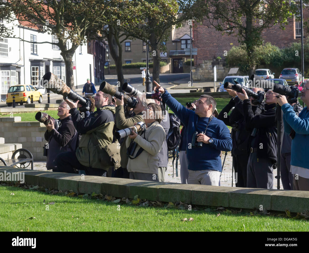 Hartlepool, UK. 17th October 2013. Birdwatchers or 'Twitchers' at Headland Square Hartlepool looking for a recently sighted rare vagrant bird Bonelli's Warbler Phylloscopus Bonelli on 17 October 2013 Credit:  Peter Jordan NE/Alamy Live News Stock Photo