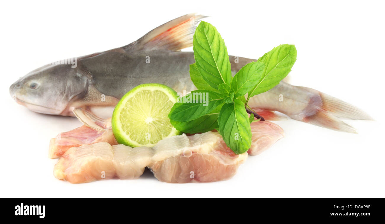 Rita fish of Southern Asia with mint and lemon Stock Photo