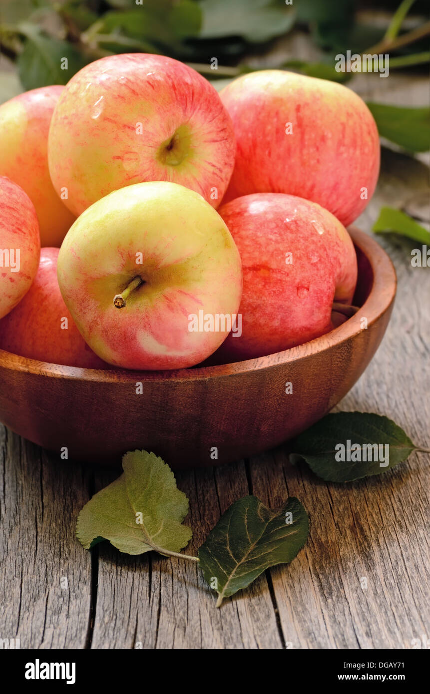 Apples In Red Bowl Stock Photos & Apples In Red Bowl Stock Images Alamy
