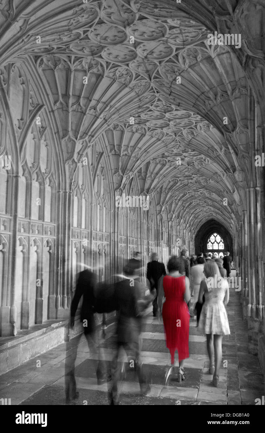 Woman in the Red dress.  A wedding party moving through the Cloisters in Gloucester Cathedral, Gloucester, Glous, UK. Stock Photo