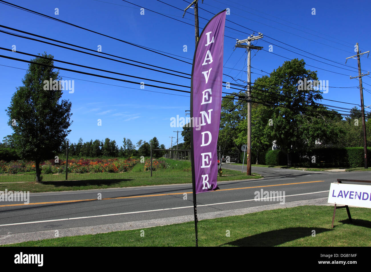 Entrance to lavender farm Orient Long Island New York Stock Photo