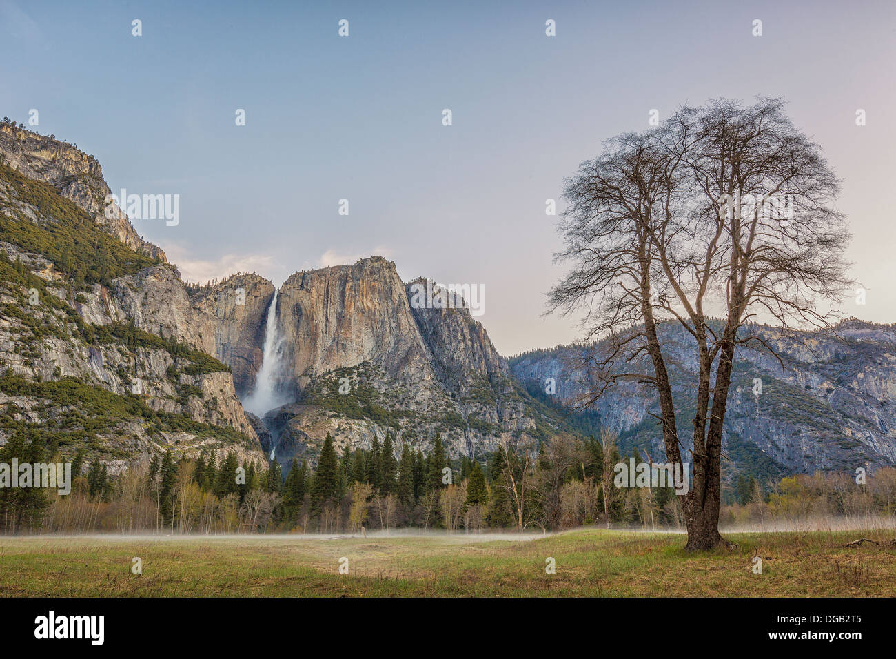 Yosemite Falls in the distance high above the floor of Yosemite Valley, California Stock Photo