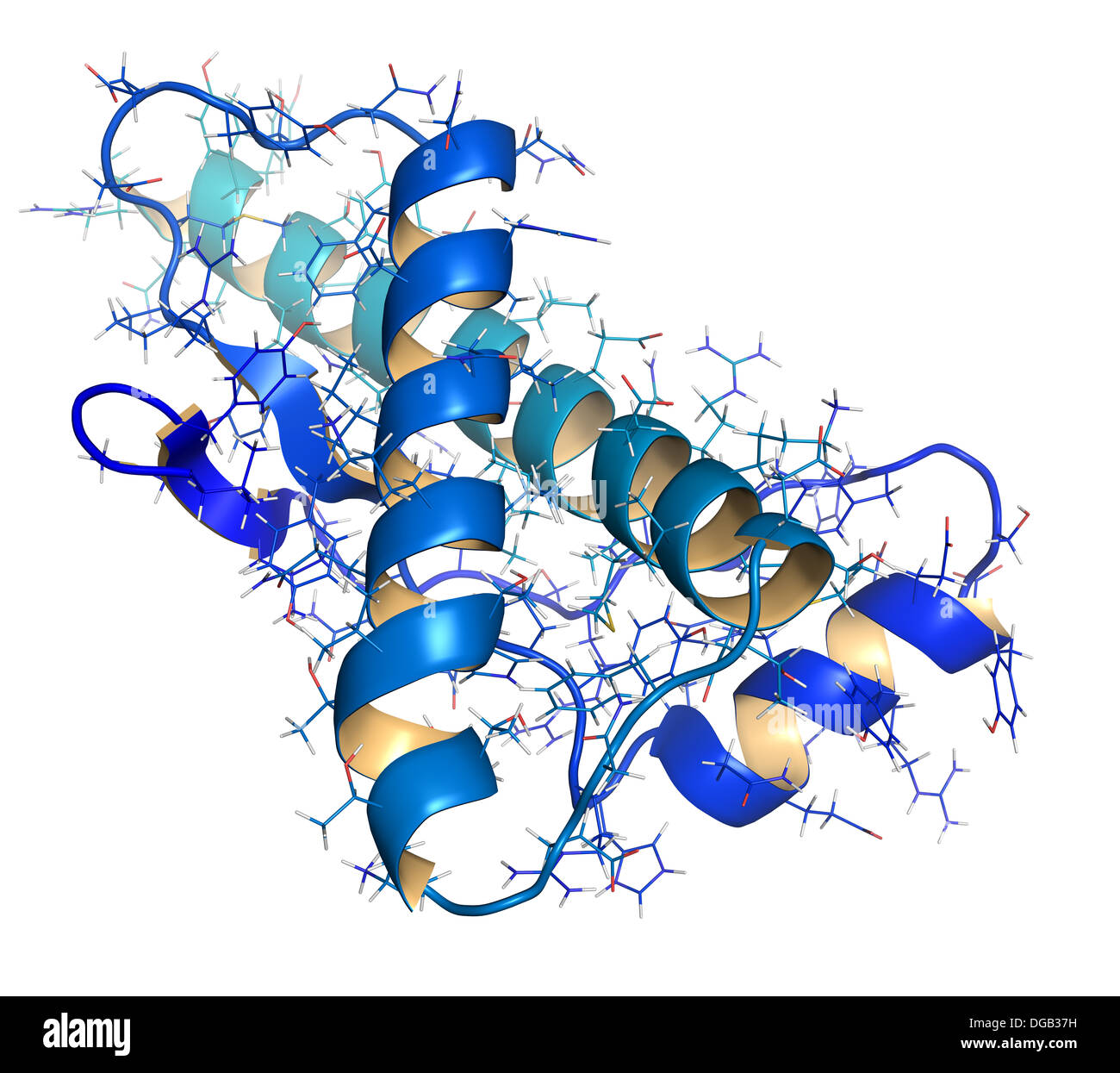Prion diseases hi-res stock photography and images - Alamy