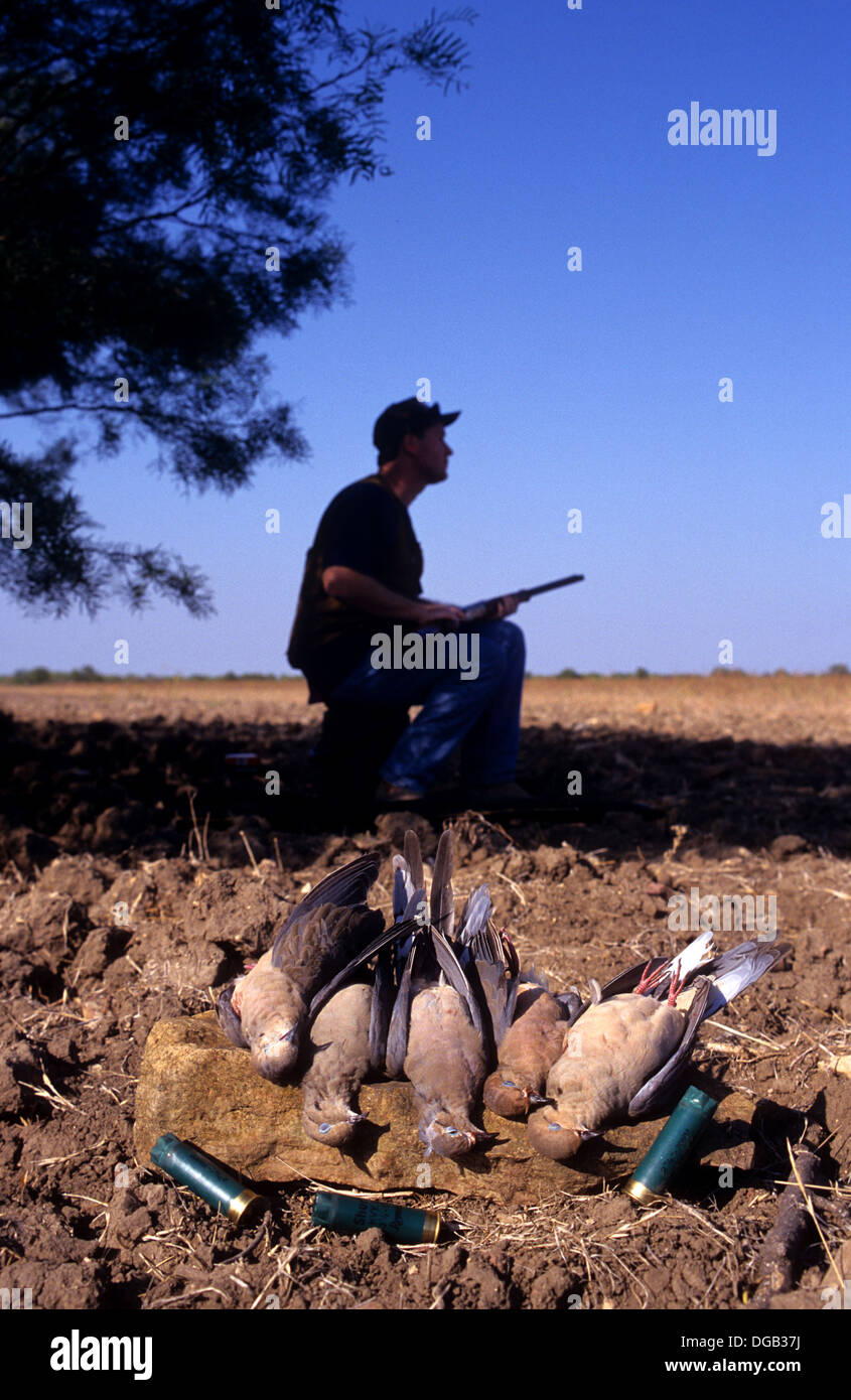 A hunter sitting in shade with mourning doves (Zenaida macroura) while
