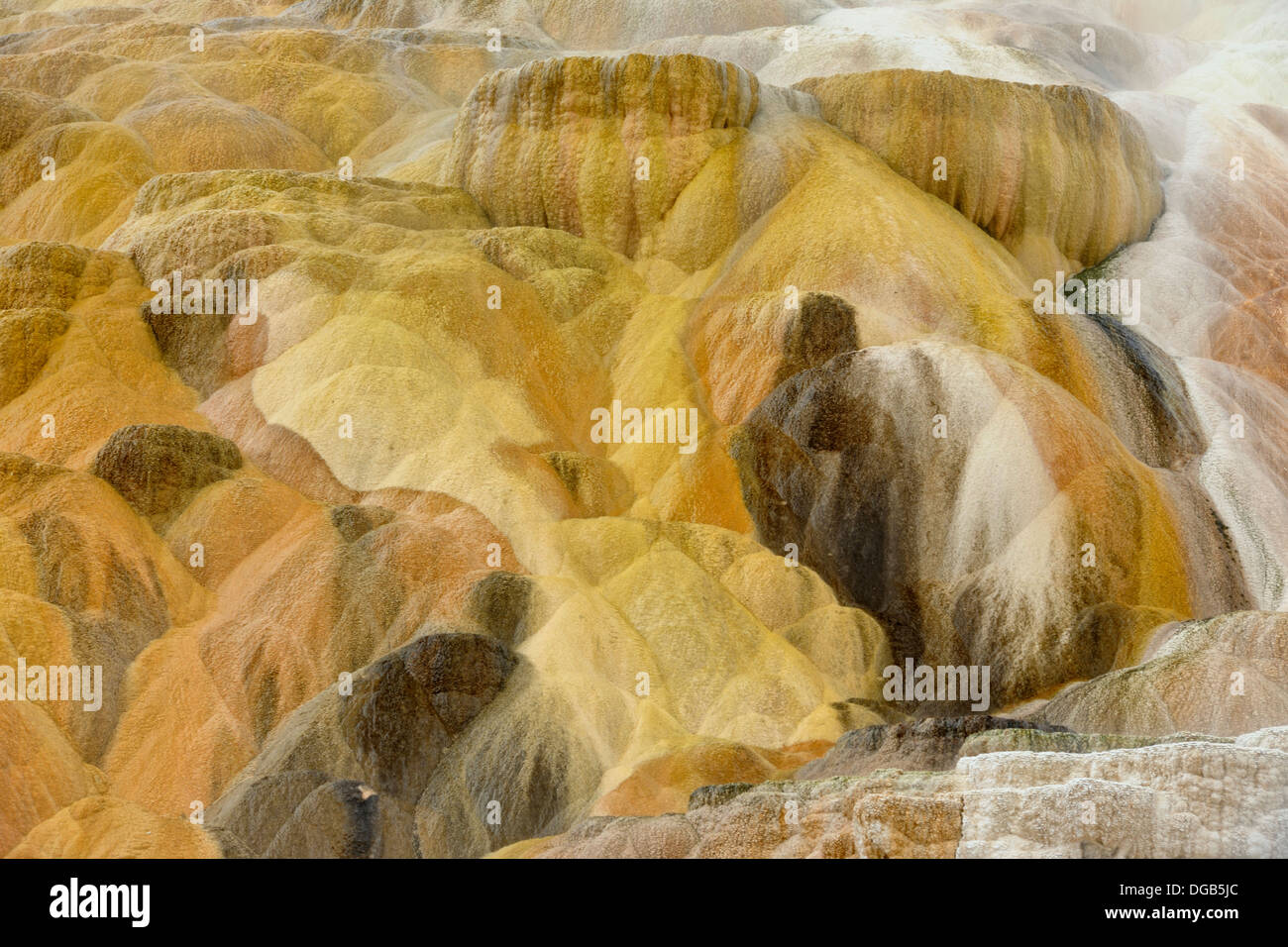 Travertine deposits and terraces at Palette Spring Mammoth Hot Springs Yellowstone NP Wyoming USA Stock Photo