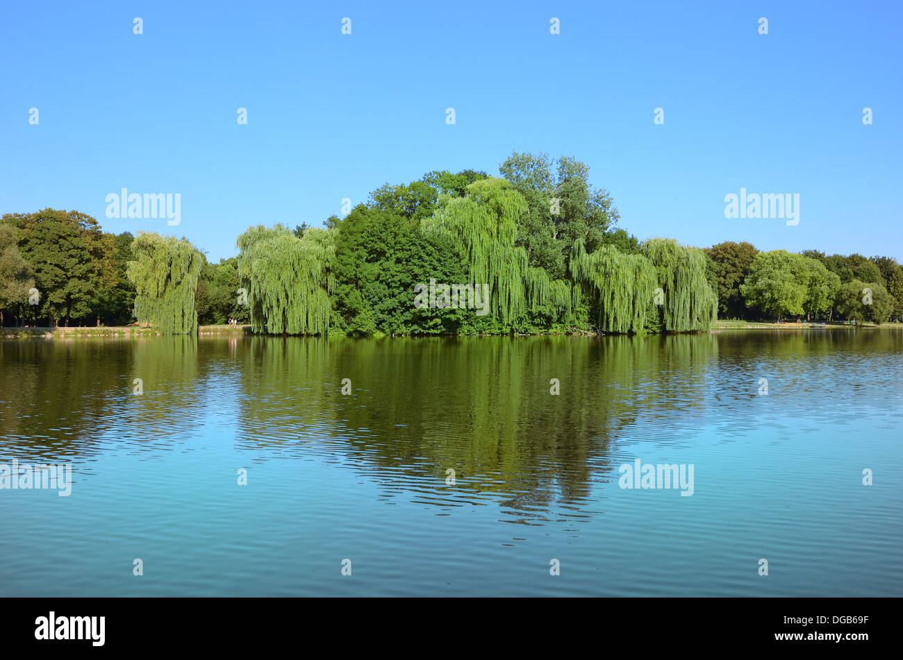 Island with trees hi-res stock photography and images - Alamy