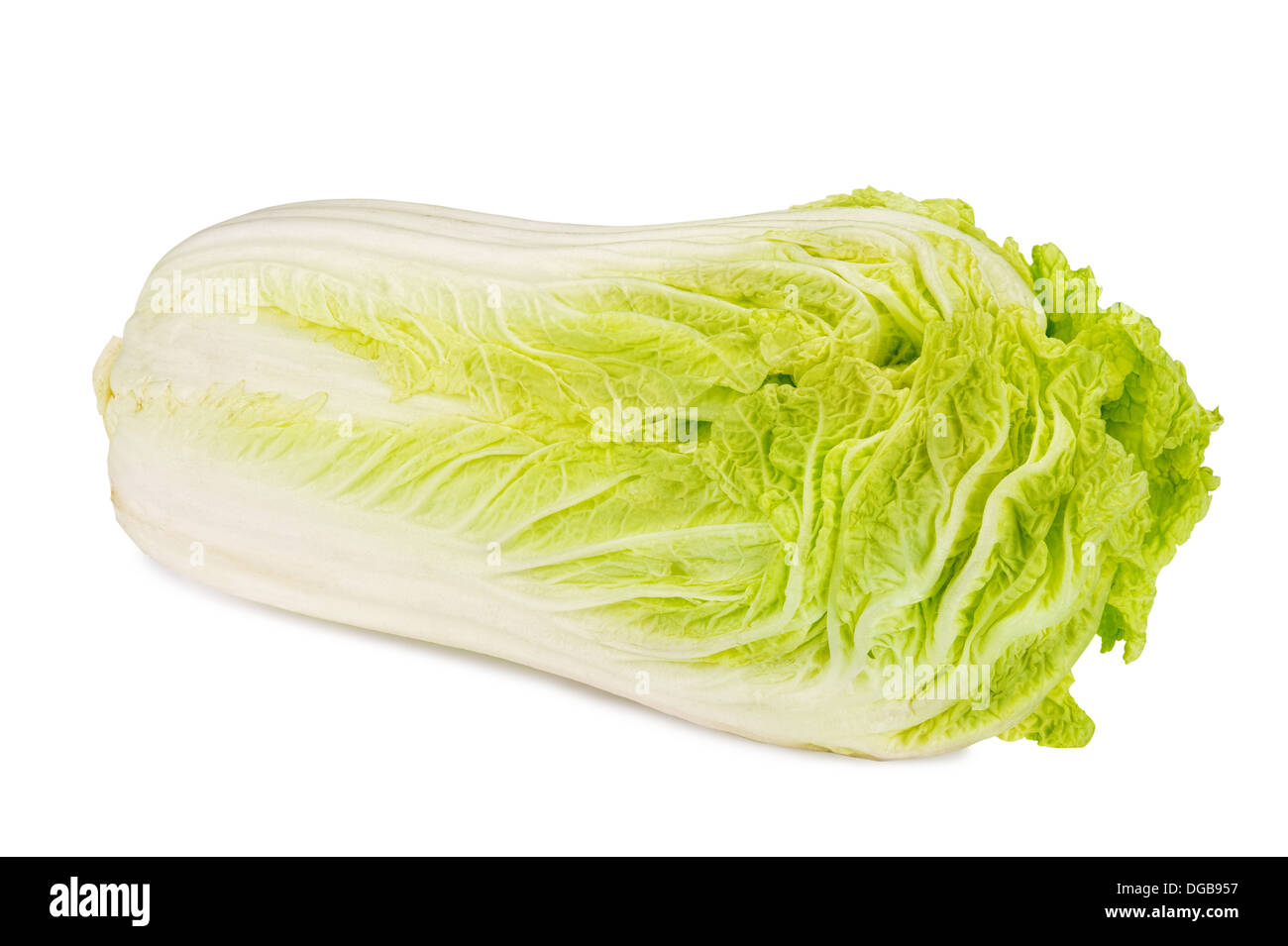 fresh chinese cabbage isolated on white background Stock Photo