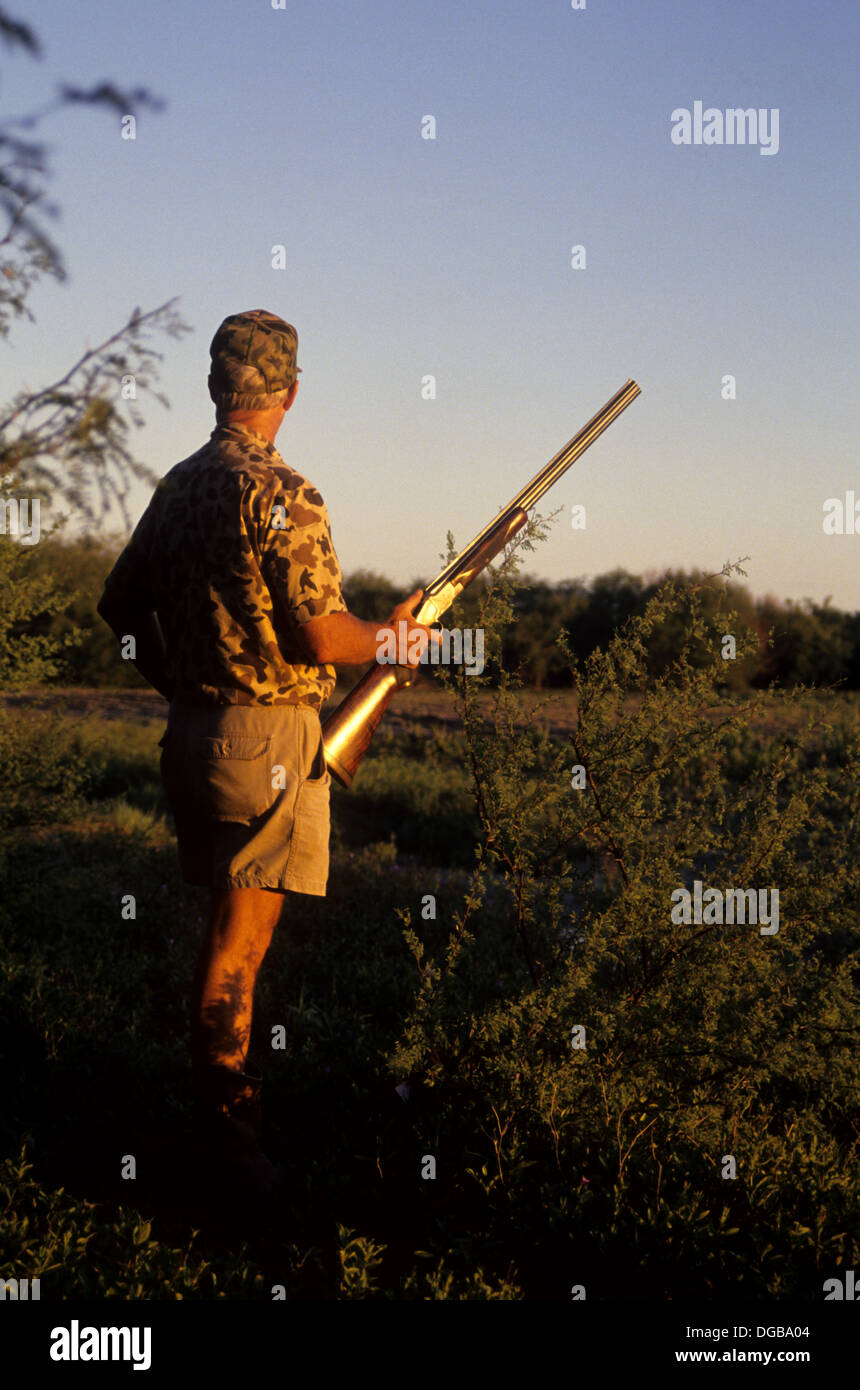 A dove hunter waiting for doves at daylight while hunting in a