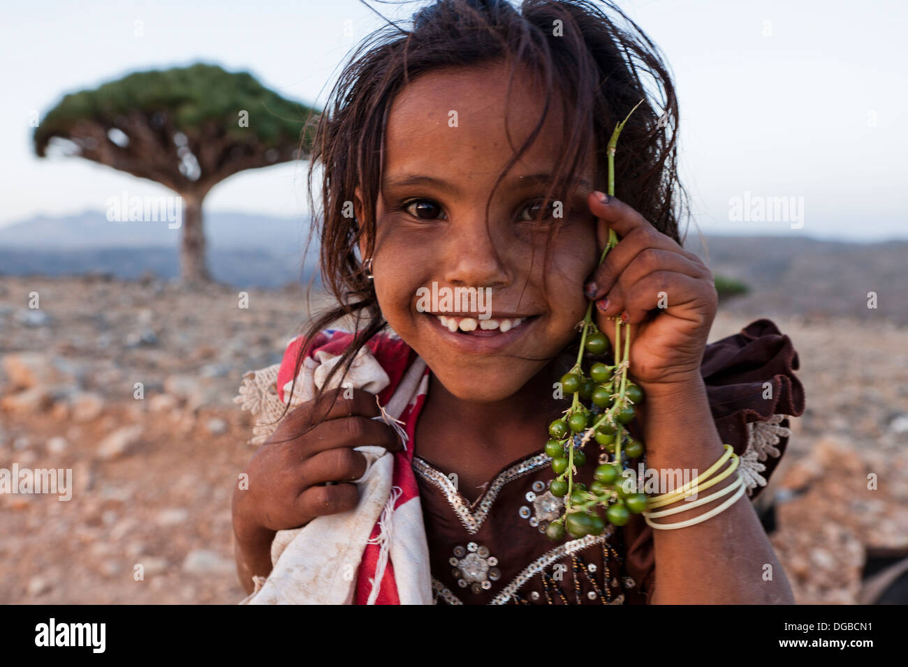 A Village Girl Showing The Fruits Of The Dragon S Blood Tree Dracaena Cinnabari Endemic To Island Diksam Plateau Central Socotra Island Listed As Stock Photo Alamy A Village Girl Showing The Fruits Of The Dragon S Blood Tree Dracaena Cinnabari Endemic To Island Diksam Plateau Central Socotra Island Listed As Stock Photo Alamy