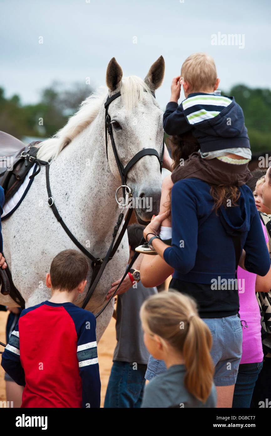Children and parents gather around a gentle white horse Stock Photo