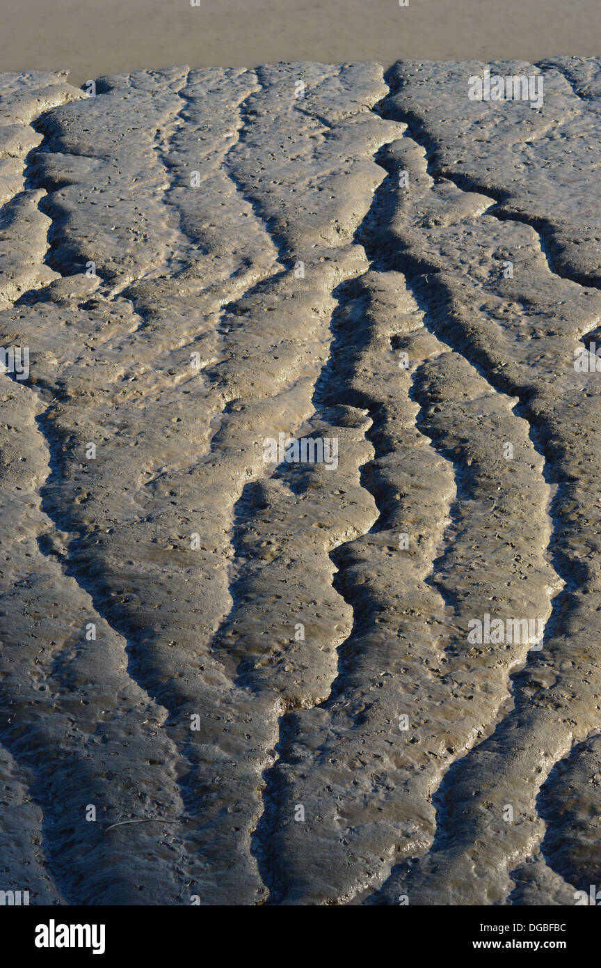 River or estuary mud with channels Stock Photo