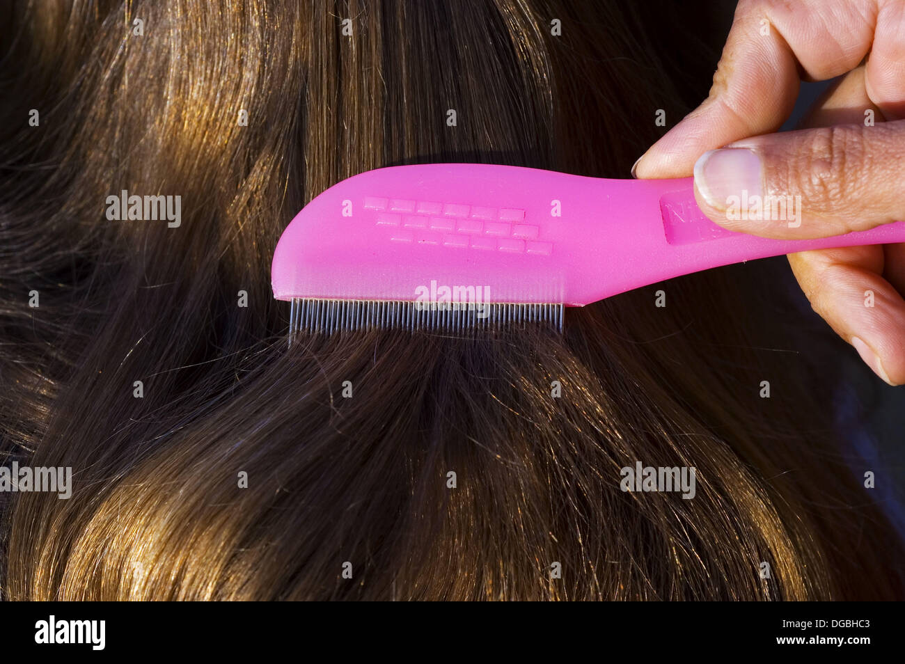 Nit comb running through hair Stock Photo Alamy