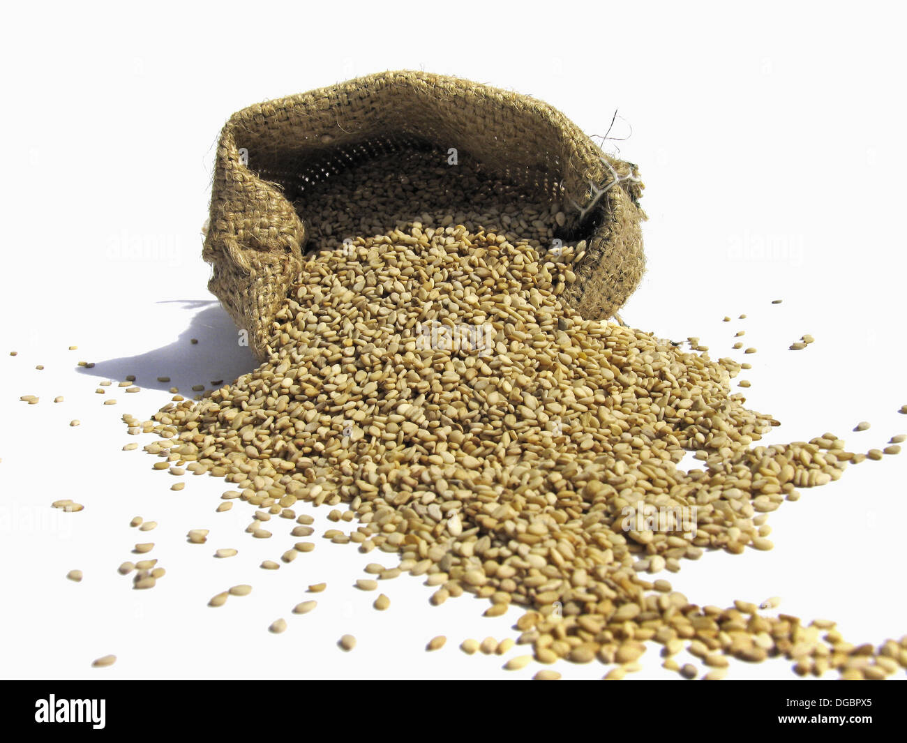 Sesame seeds come from a tall herb plant native to the East Indies. A