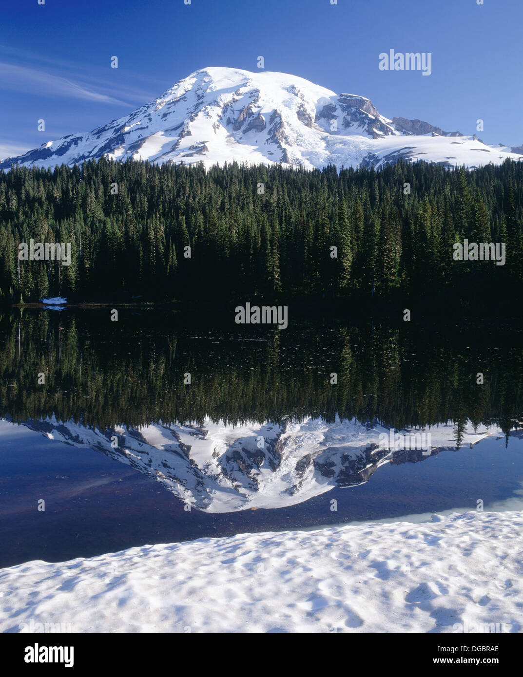 Mt. Rainier from Reflection Lake. Mt. Rainier National Park. June, afternoon light. Pierce