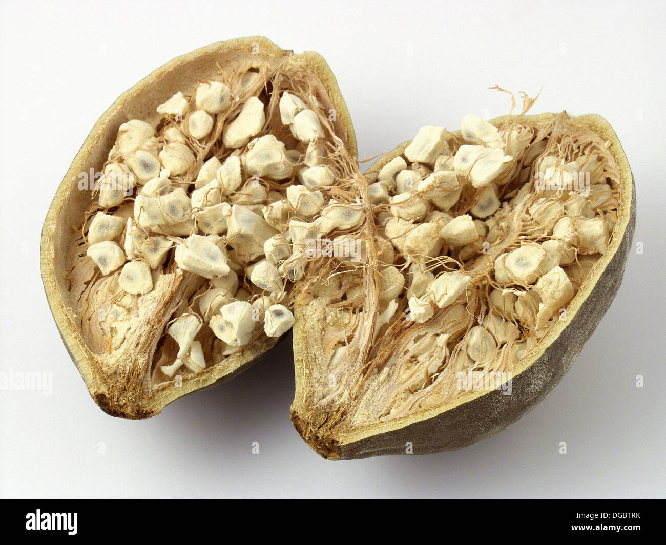 Baobab fruits and seeds Stock Photo Alamy