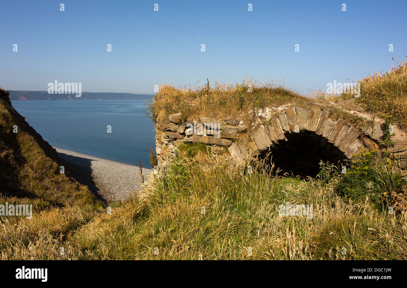 Old Lime Kiln Detail and Plant Colonisation With Pebble Beach and Distant Cliffs, Greencliff, near Bideford, Devon. Stock Photo