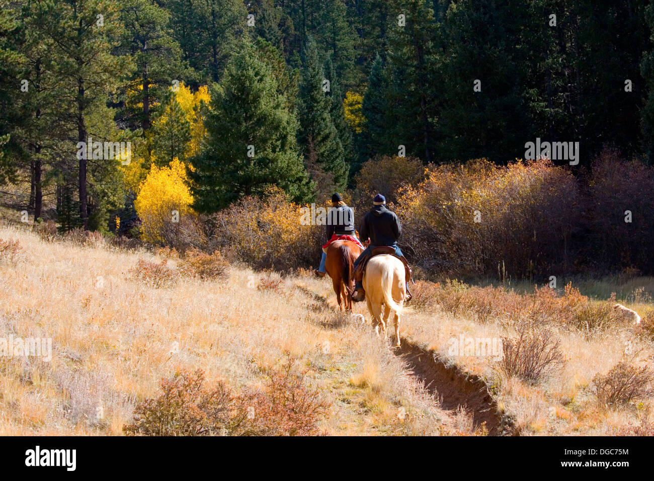 Autumn Horseback Riders Stock Photo Alamy