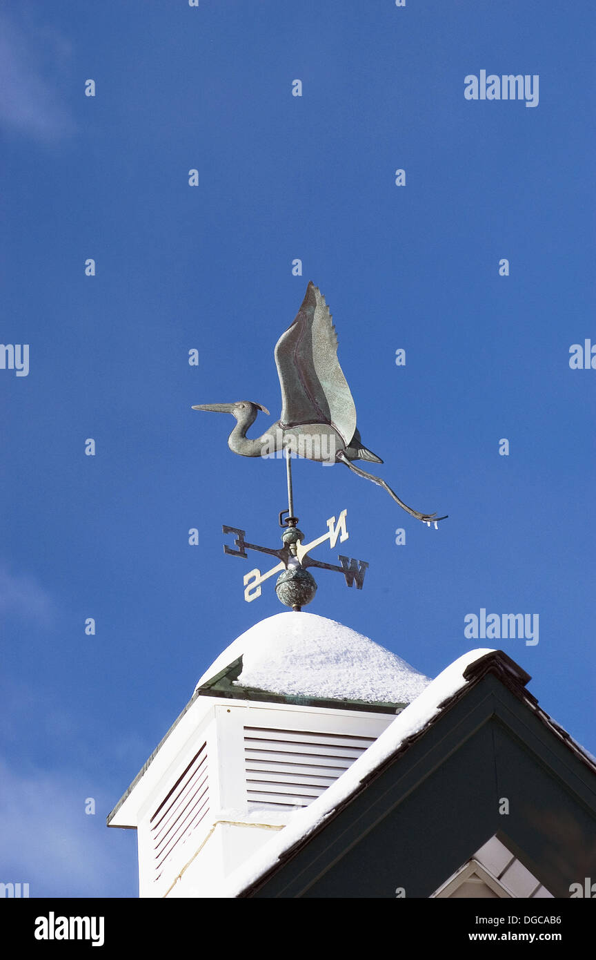 Eye vane hires stock photography and images Alamy