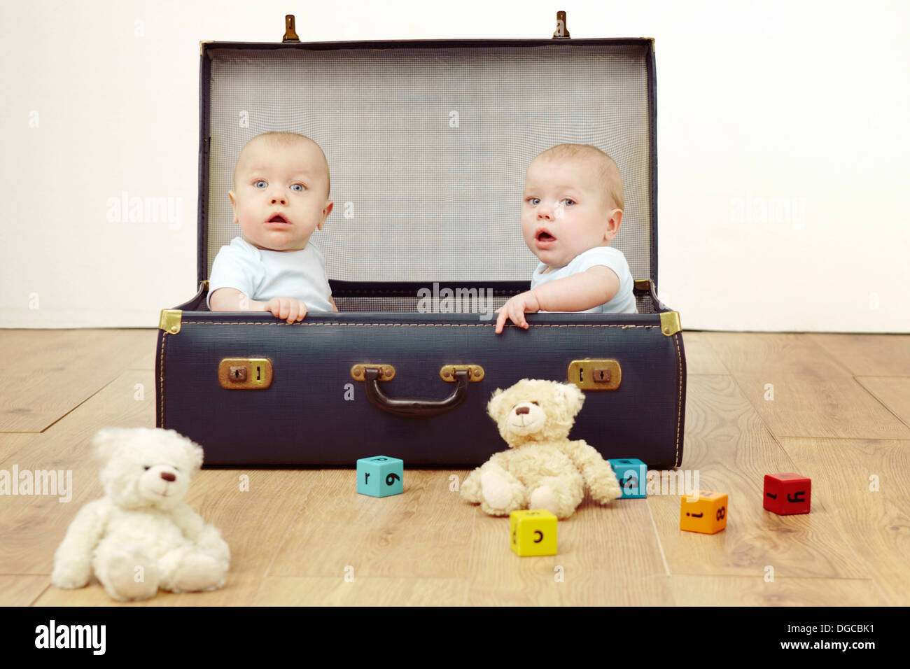 Two baby boys sitting in suitcase, portrait Stock Photo