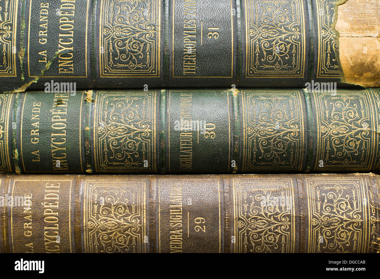 Old books on shelf. French encyclopedia. Close up shot Stock Photo Alamy