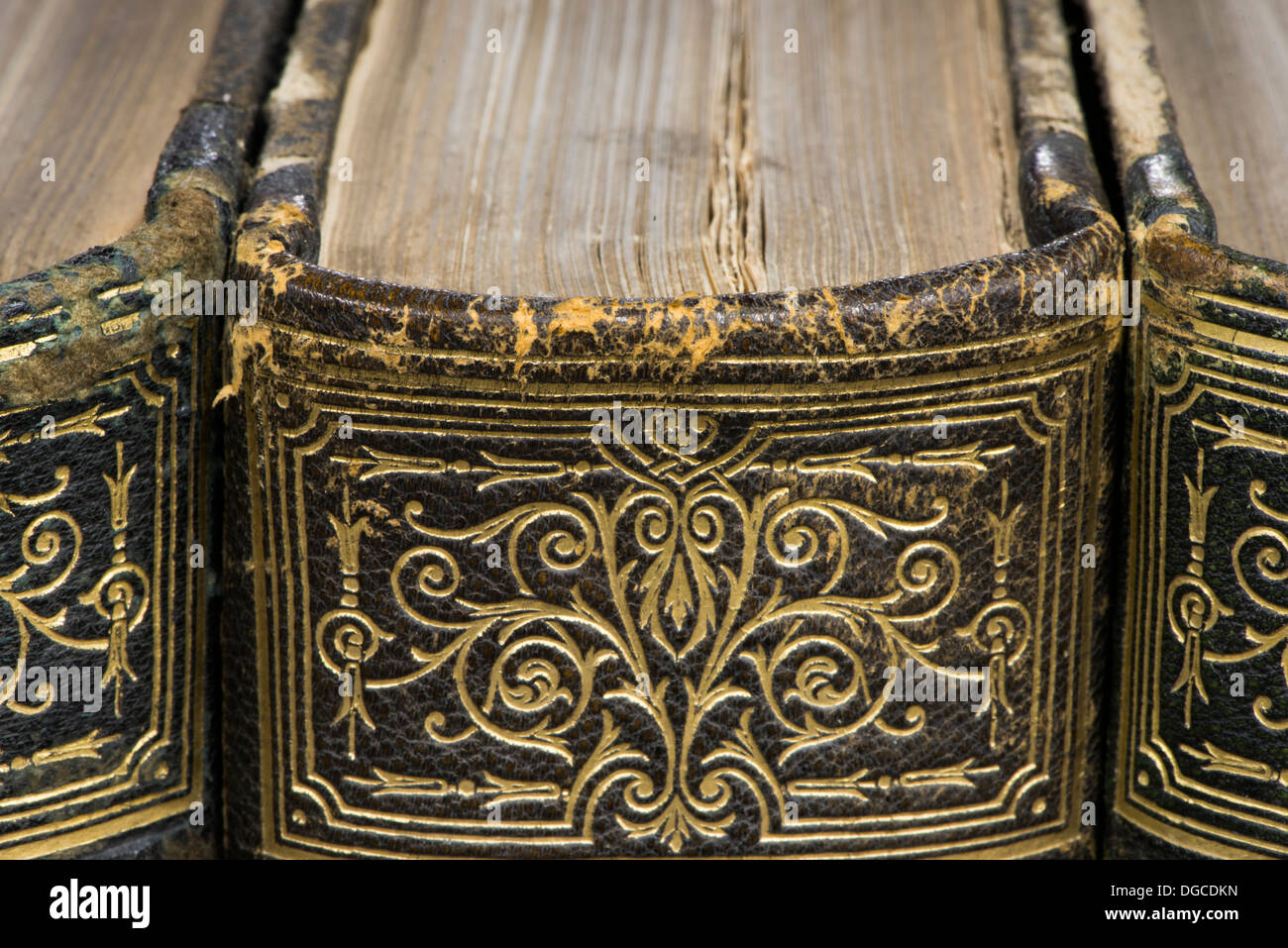 Old books on shelf. French encyclopedia. Close up shot Stock Photo Alamy