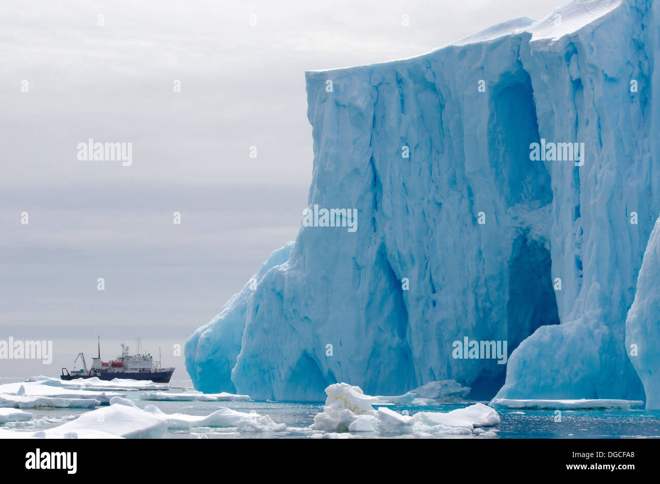Spirit of Enderby ship, iceberg, ice floe in the southern ocean, 180 miles north of East Antarctica, Antarctica Stock Photo