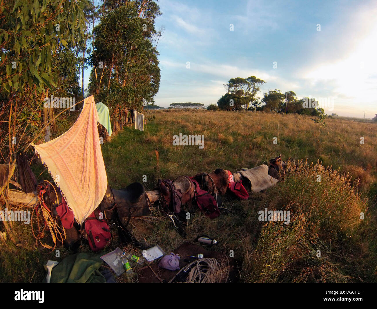 Camping equipment in field, Uruguay Stock Photo