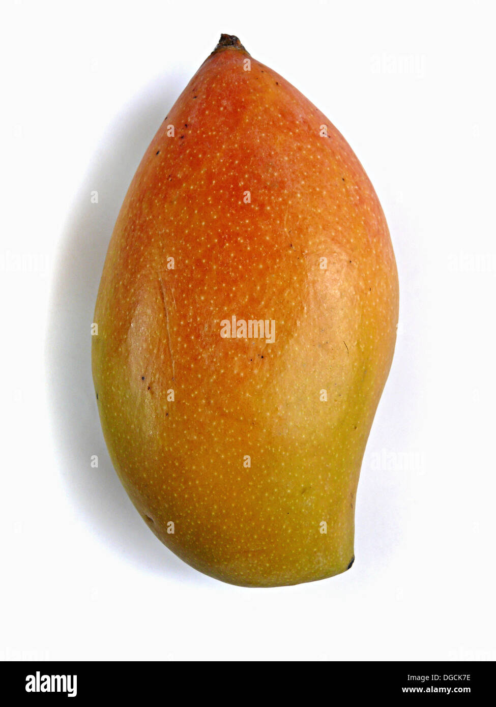 Mango. The flesh of a mango is peachlike and juicy, with more or less