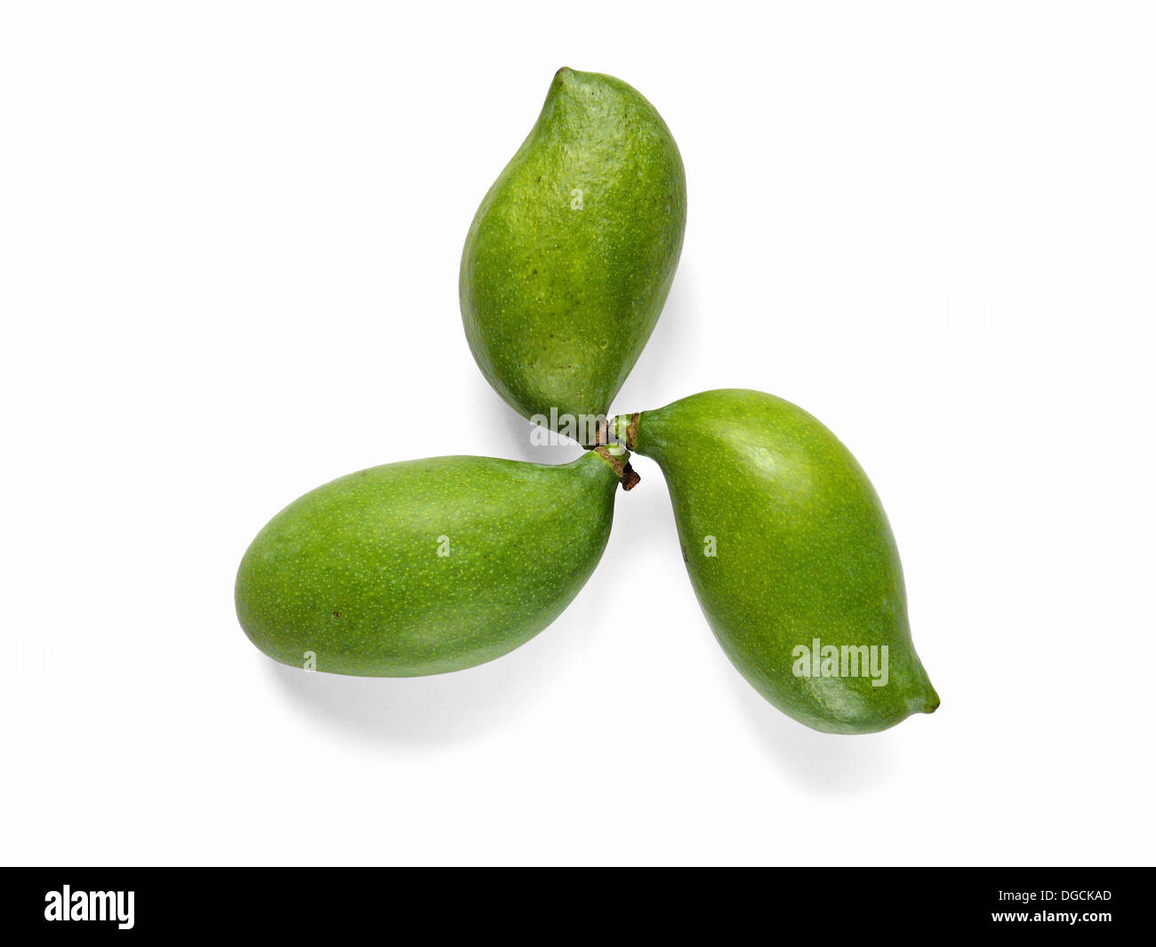 Green (Raw) Mangoes. The flesh of a mango is peachlike and juicy, with