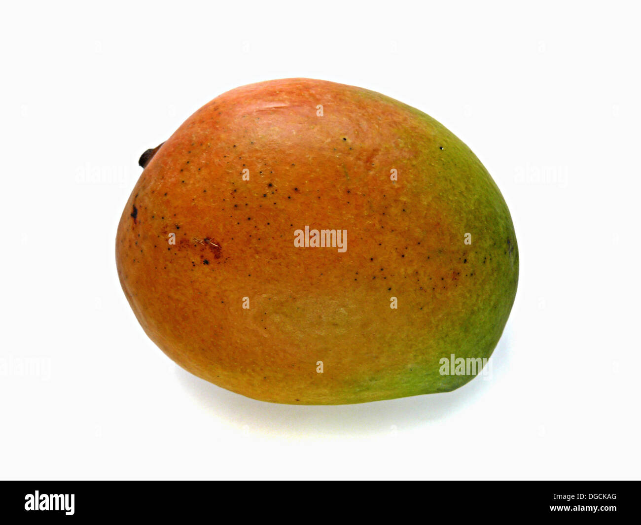Mango. The flesh of a mango is peachlike and juicy, with more or less