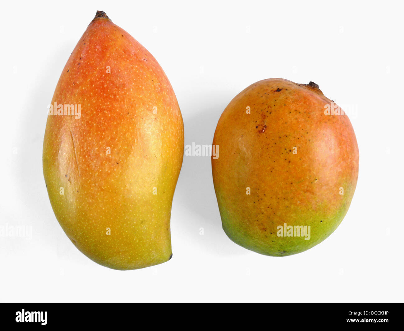 Mangos. The flesh of a mango is peachlike and juicy, with more or less