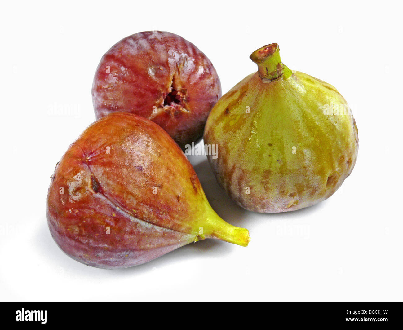 Bemyndige tunge Mold Fig fruit. Ficus carica L. Moraceae. Common Names: Fig (English), Higo  (Spanish), Figue (French), Feige (German), Fico Stock Photo - Alamy